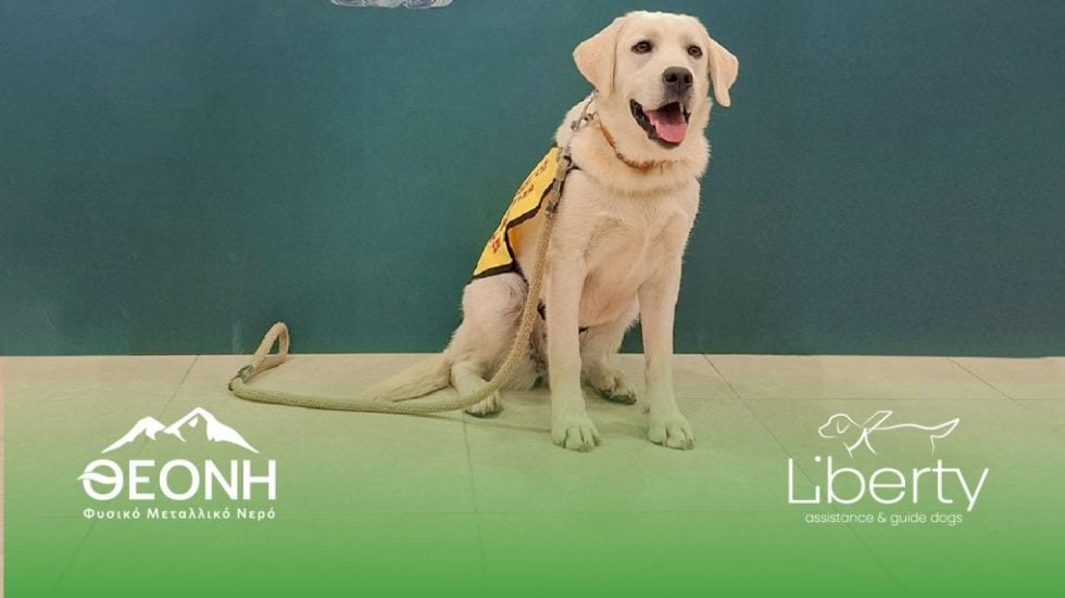 THEONI LIBERTY DOG
